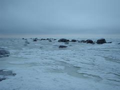 Лёд на Финском заливе